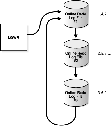 Description of Figure 11-6 follows Description of Figure 11-6 follows