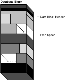 Description of Figure 12-11 follows Description of Figure 12-11 follows