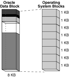 Description of Figure 12-6 follows Description of Figure 12-6 follows