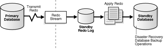 Description of Figure 1-1 follows Description of Figure 1-1 follows
