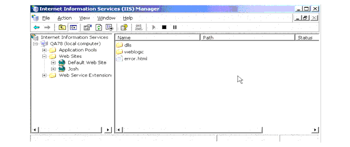 Connection Failover