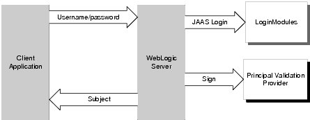 The Authentication Process