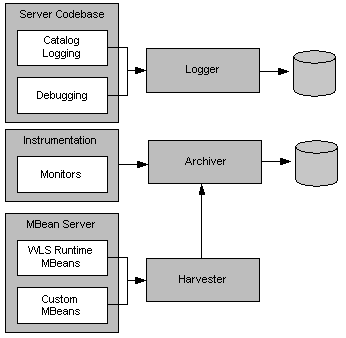 Relationship of Data Creation Components to Data Collection Components